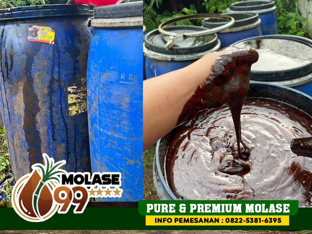 Harga Tetes Tebu 1 Drum